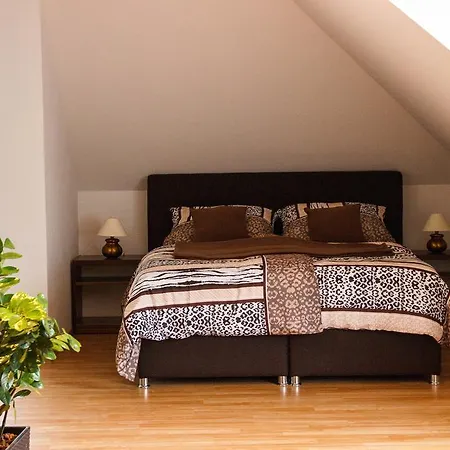 Conti Pensjonat Trencianska Tepla